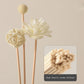 9PCS Flower Rattan Aromatherapy Sticks – No Fire Diffuser