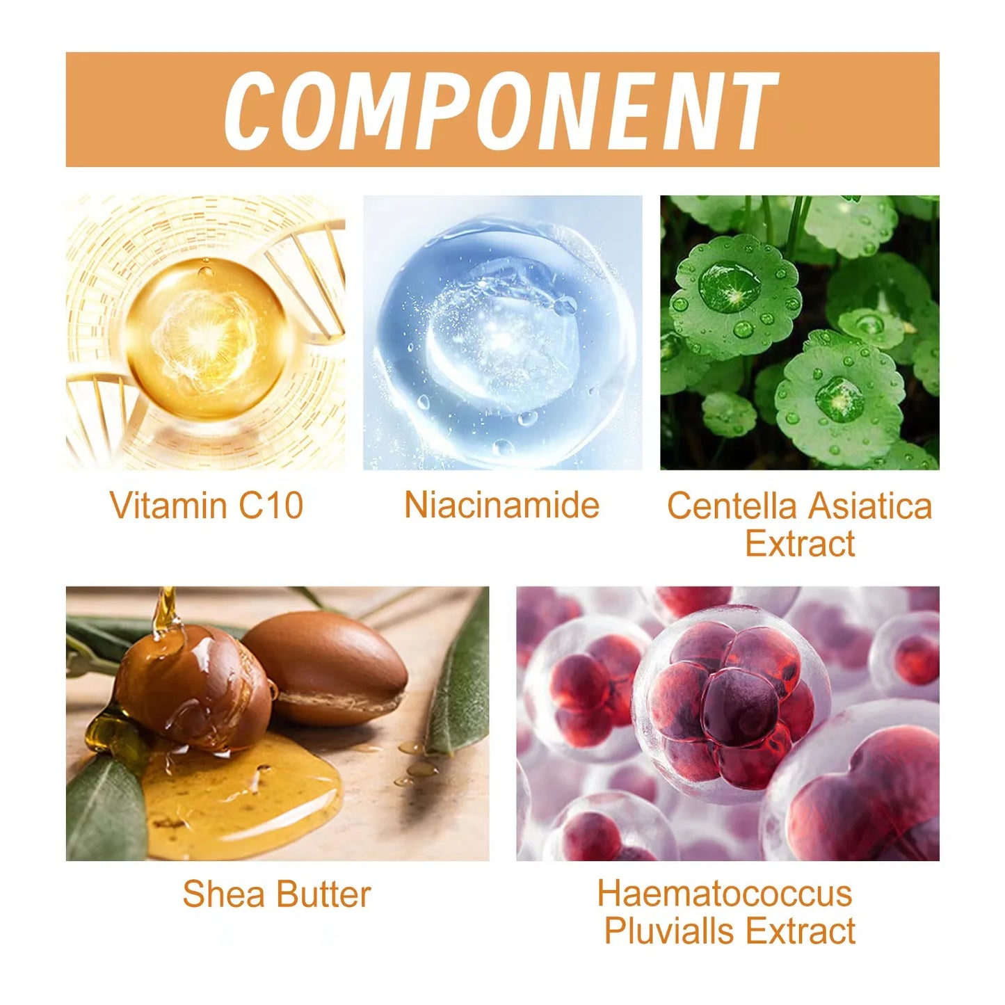 Vitamin C Wrinkle Serum