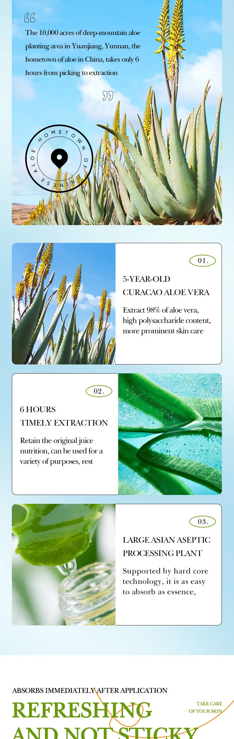 Aloe Lip Balm – Nourishing & Hydrating Lip Care